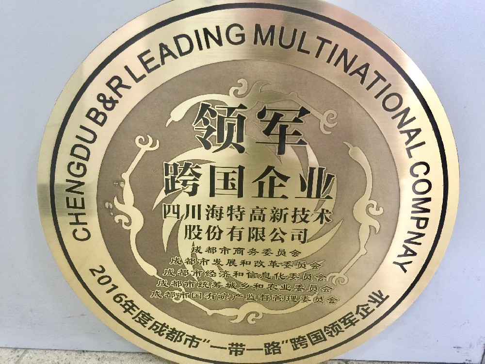 領軍跨國企業.jpg